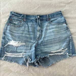 American Eagle Outfitters Blue Distressed Jean Shorts